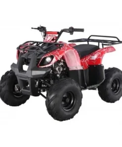 Tao Motors D125 Kids ATVs
